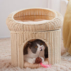 Cat Bed Model Owgc | Thrascher