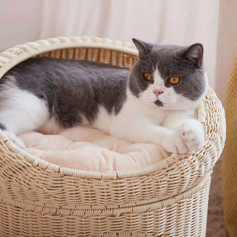 Cat Bed Model Owgc | Thrascher