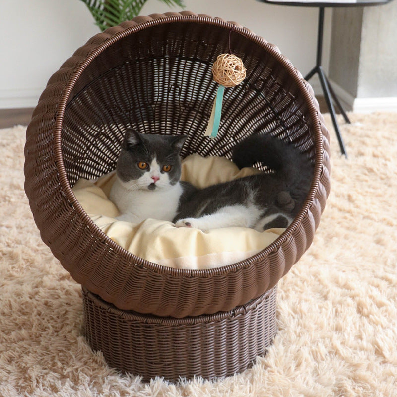 Cat Bed with Modern Design | Thrascher