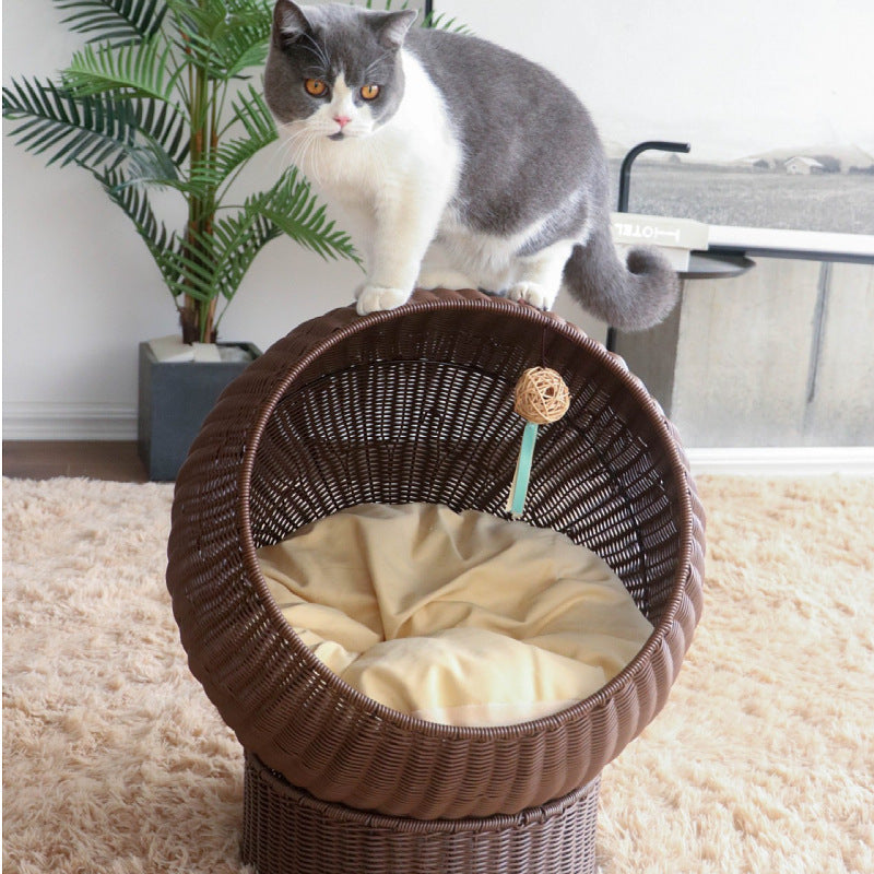 Cat Bed with Modern Design | Thrascher