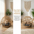 Cat Cave Pet Beds & Furniture | Thrascher