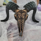 Carved Resin Ram Skull with Removable Horns, 20cm Wide