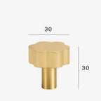 Clylola Brass Furniture Handle