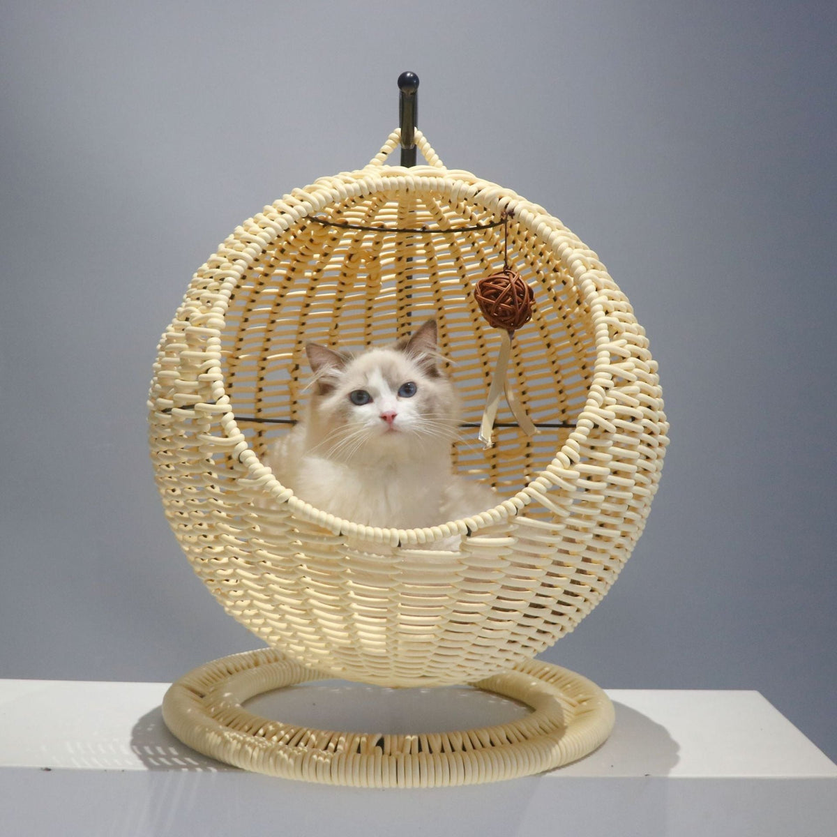 Comfortable Cat Bed with Floating Basket Structure | Thrascher