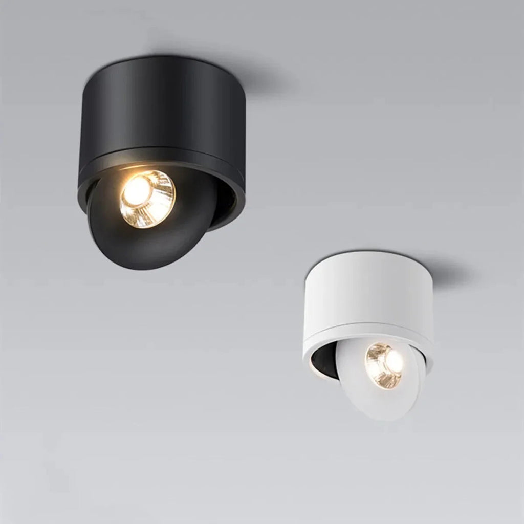 Corina Surface Mounted Downlight