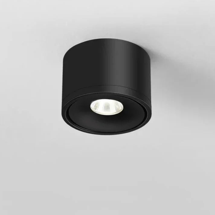 Corina Surface Mounted Downlight