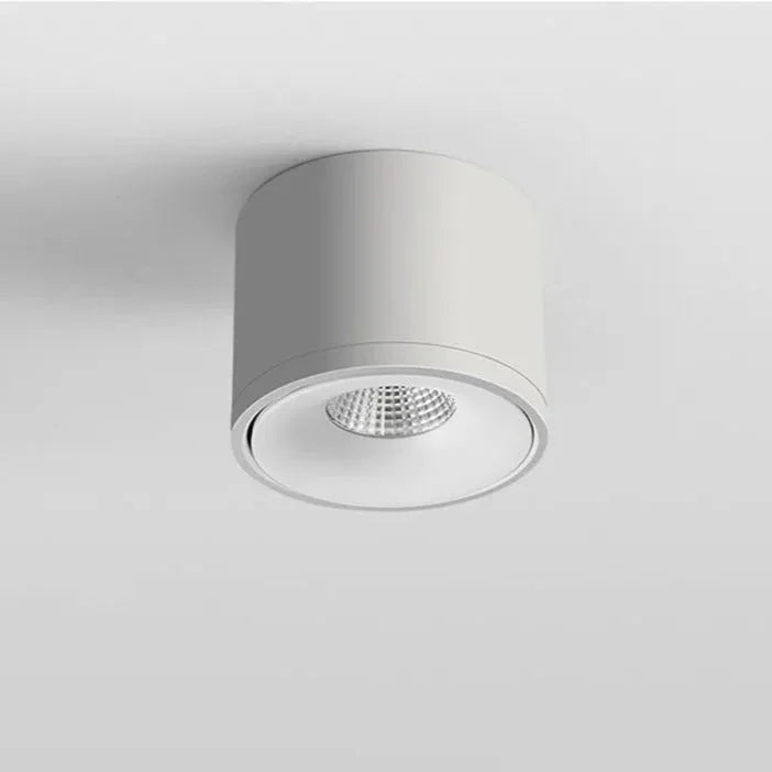 Corina Surface Mounted Downlight