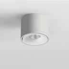 Corina Surface Mounted Downlight