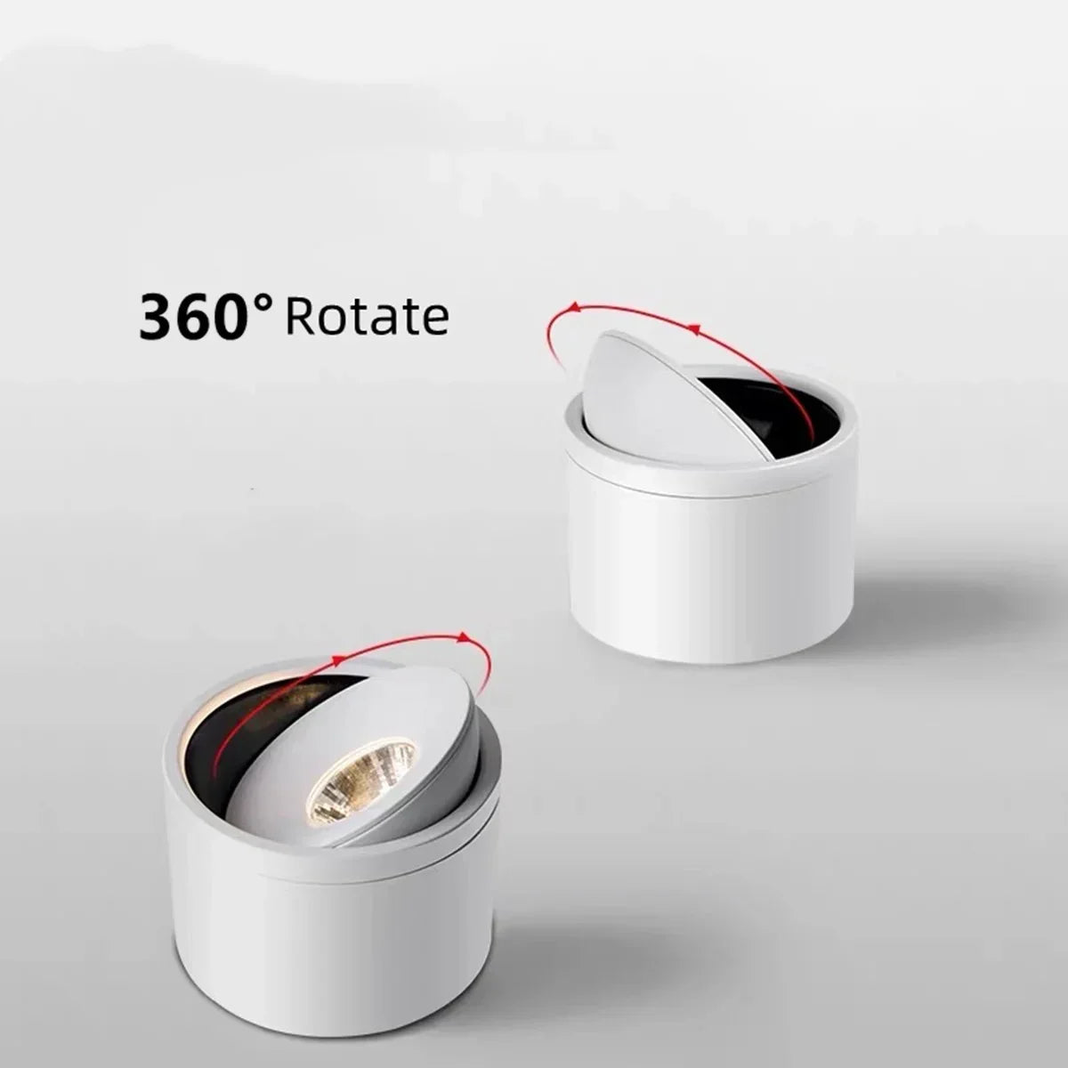 Corina Surface Mounted Downlight