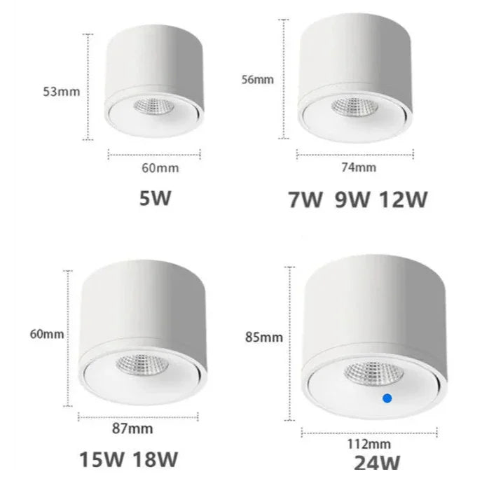 Corina Surface Mounted Downlight