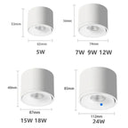 Corina Surface Mounted Downlight