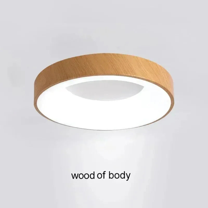 Corita LED Ceiling Light