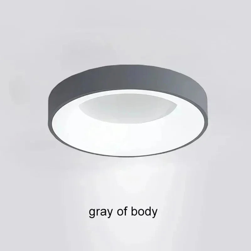 Corita LED Ceiling Light