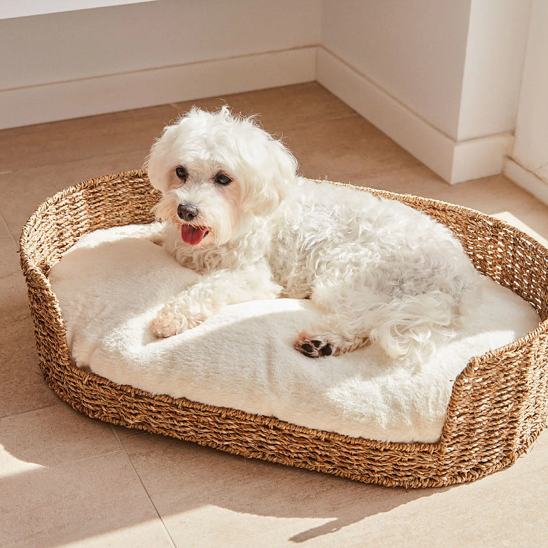 Cozy and Stylish Dog Bed made of Braided Material | Thrascher