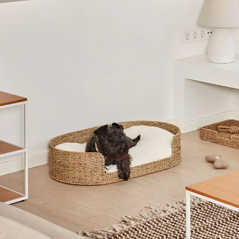 Cozy and Stylish Dog Bed made of Braided Material | Thrascher