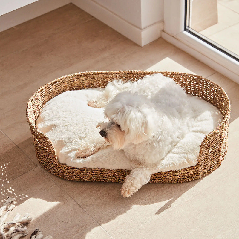 Cozy and Stylish Dog Bed made of Braided Material | Thrascher