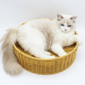 Cozy Cat Basket made of Woven Material | Thrascher