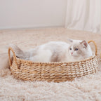 Cozy Cat Bed | Thrascher