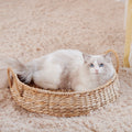 Cozy Cat Bed | Thrascher