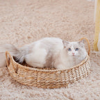 Cozy Cat Bed | Thrascher
