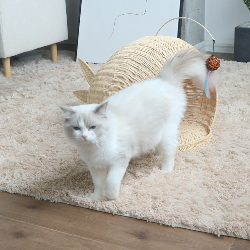 Creative Cat House | Thrascher
