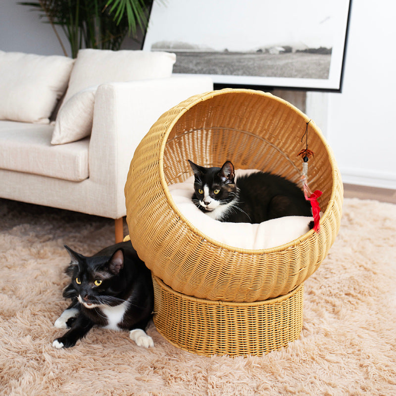 Cuddle Couch for Cats | Thrascher