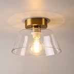 Dalmova Ceiling Light