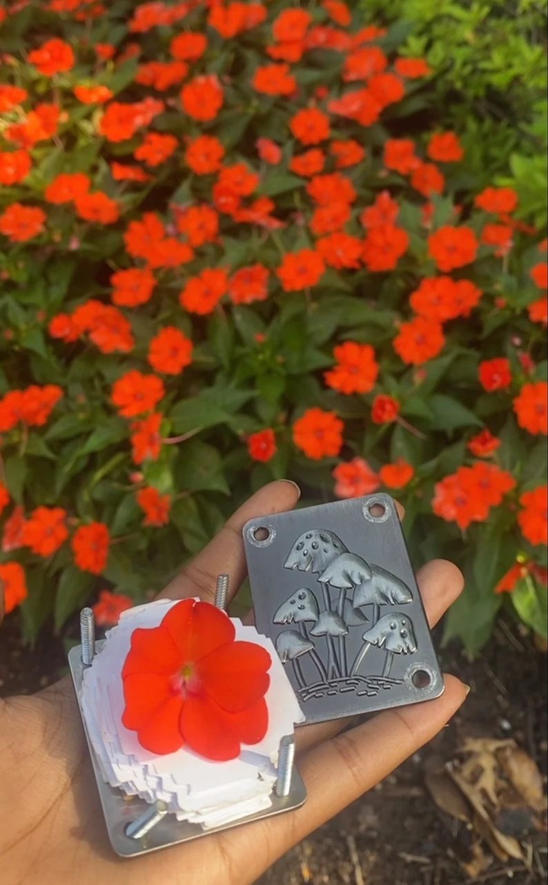 Mini Flower Press, 35 × 50 mm, Silver Sheet and Brass Details