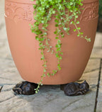 Decorative Animal Plant Pot Feet, Frost-Resistant Poly-Resin, view 5
