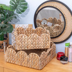 Decorative Braided Basket | Thrascher