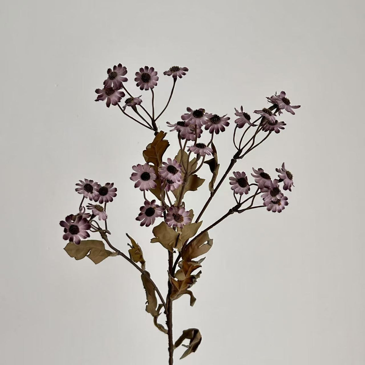 Decorative Dried Flowers | Thrascher