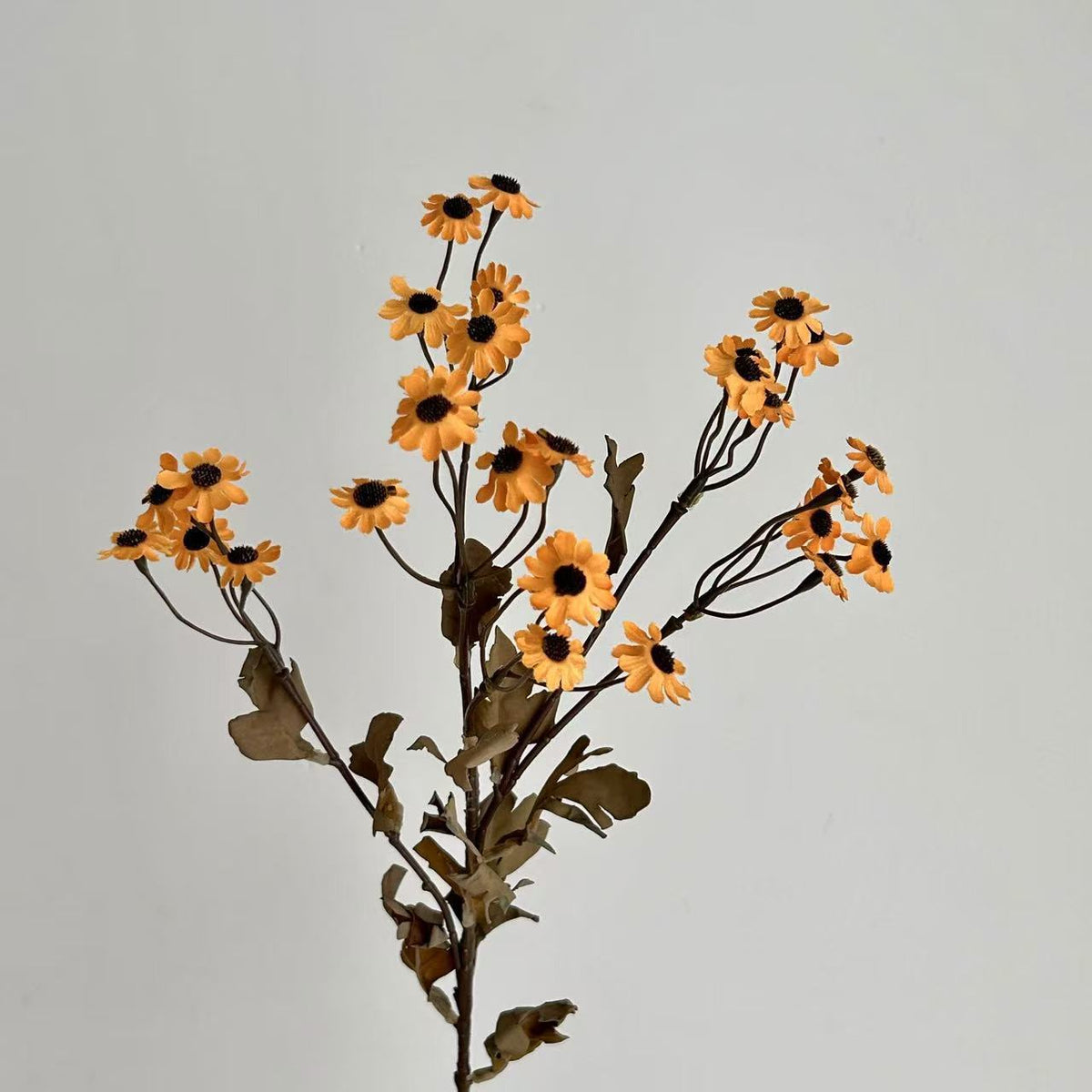 Decorative Dried Flowers | Thrascher