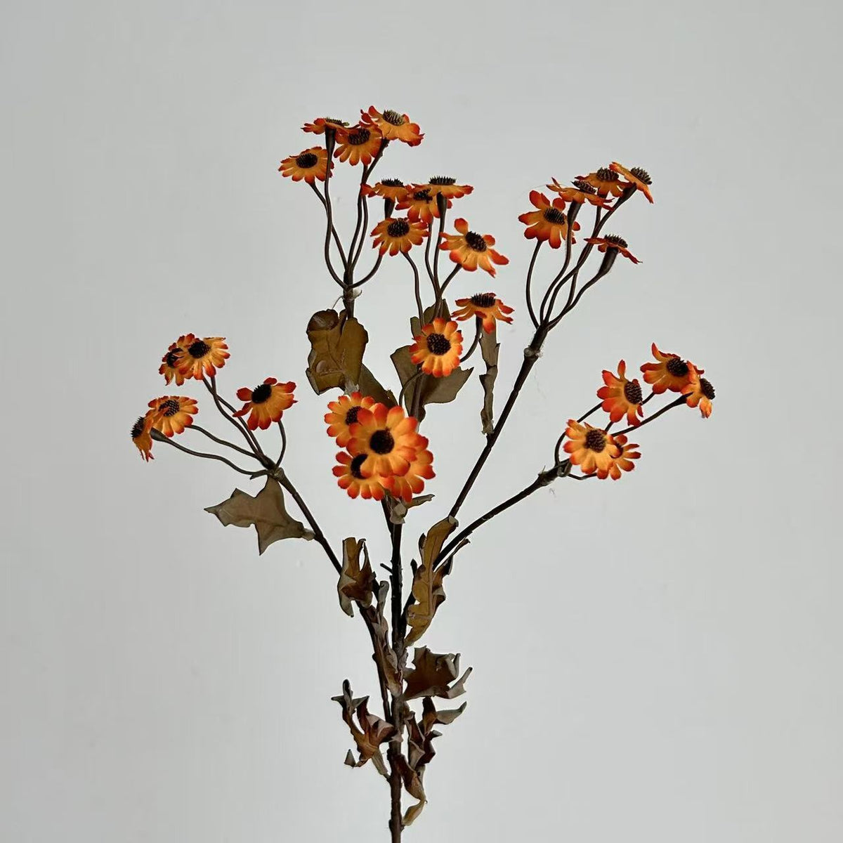 Decorative Dried Flowers | Thrascher