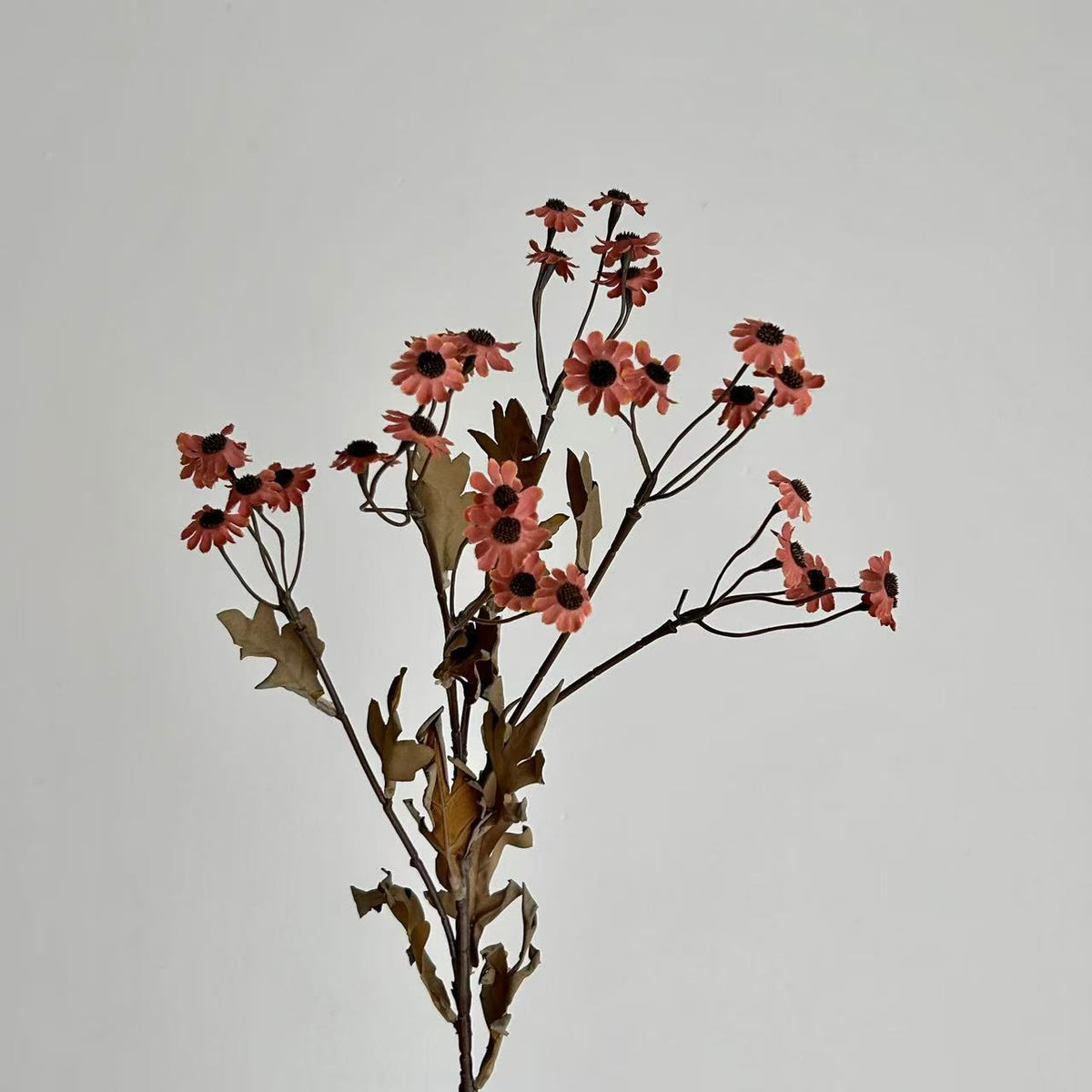 Decorative Dried Flowers | Thrascher