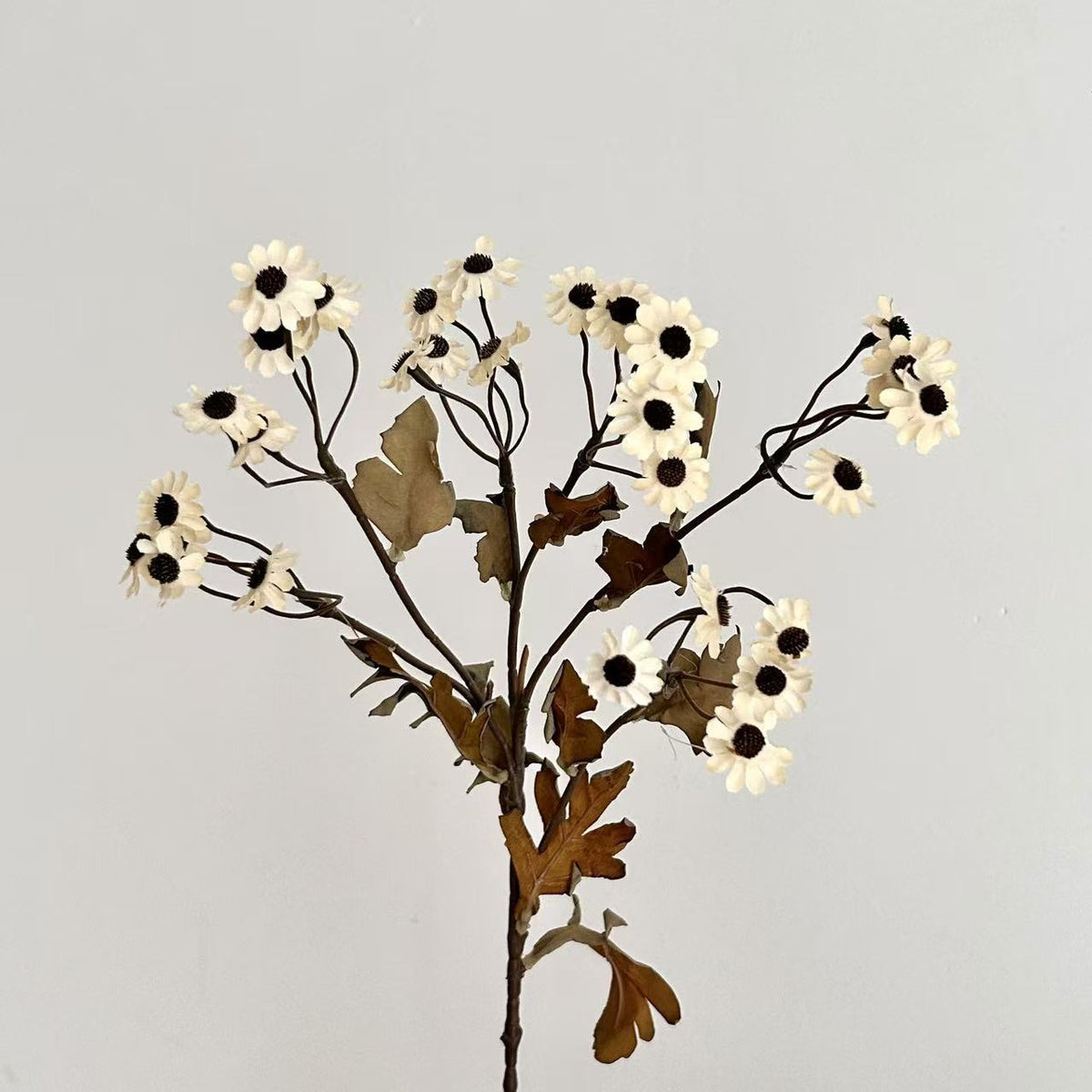 Decorative Dried Flowers | Thrascher