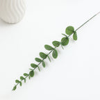Decorative Eucalyptus Branch | Thrascher