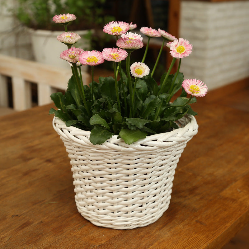 Decorative Plant Basket made of Woven Material | Thrascher