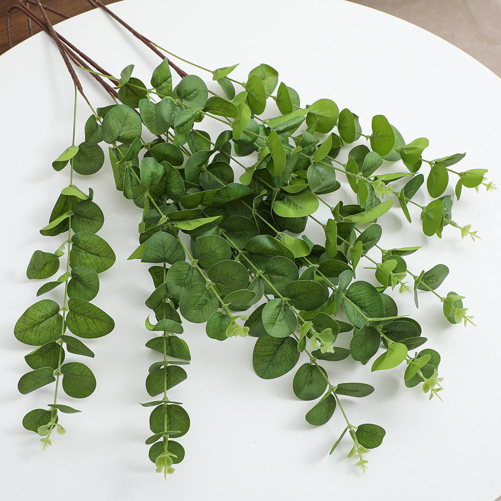 Decorative Plants Dark Green | Thrascher