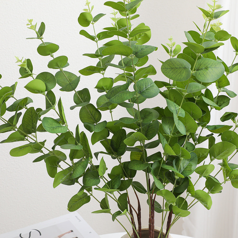 Decorative Plants Dark Green | Thrascher