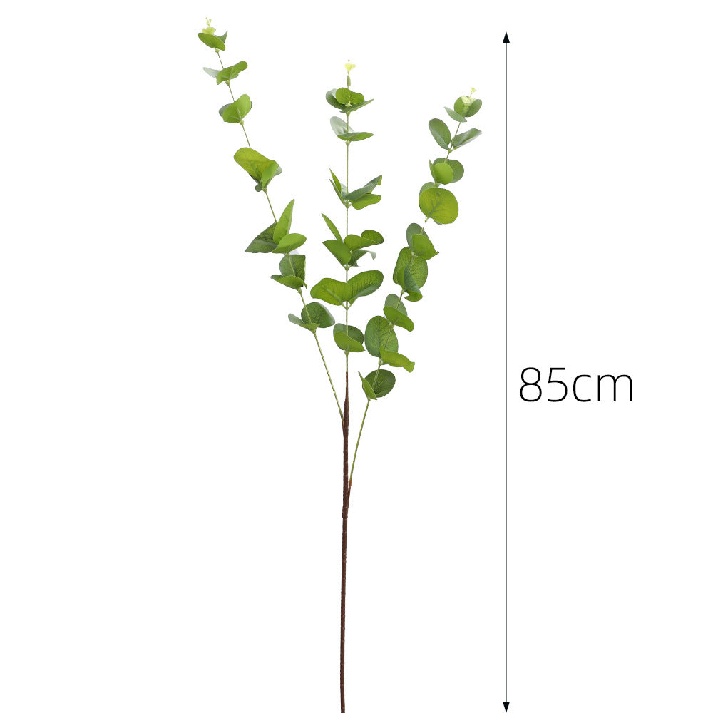 Decorative Plants Dark Green | Thrascher