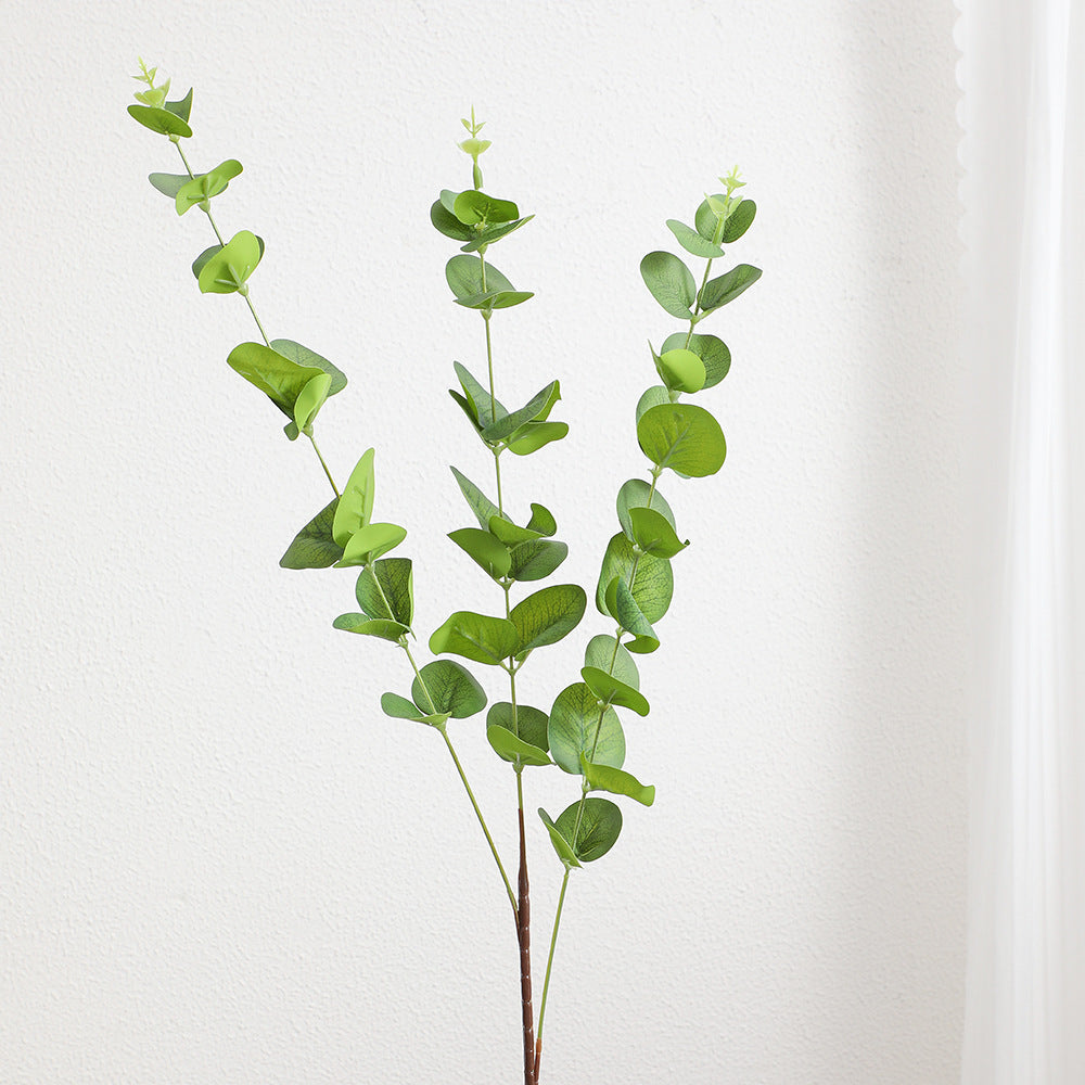 Decorative Plants Dark Green | Thrascher
