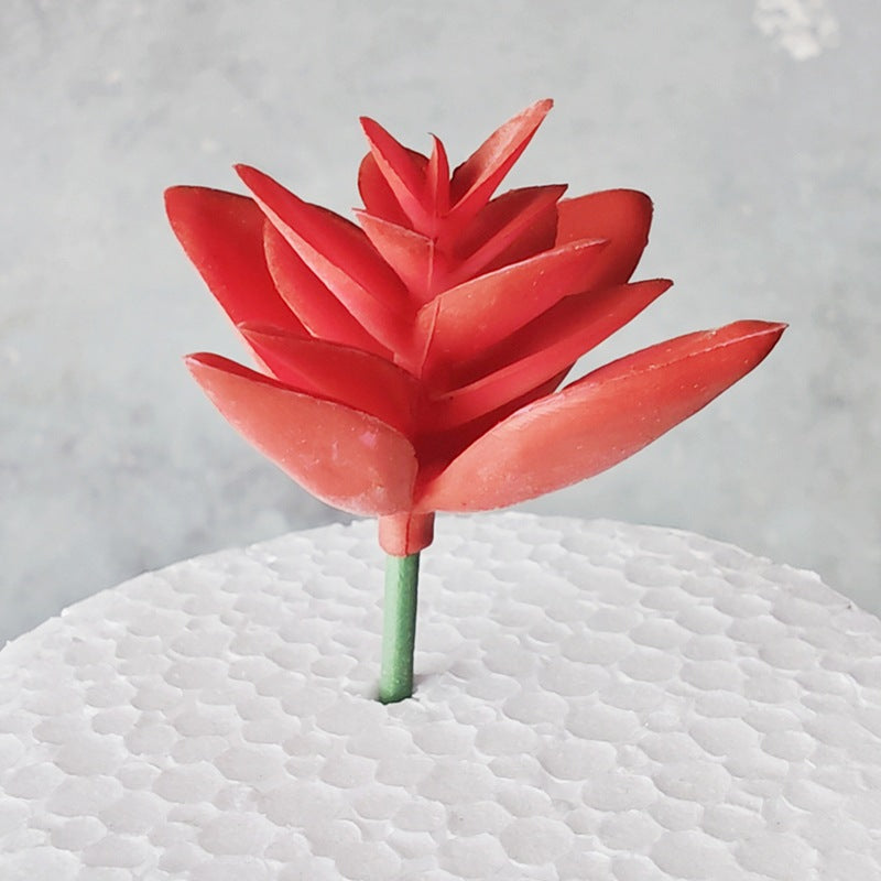 Decorative Succulent Stones | Thrascher