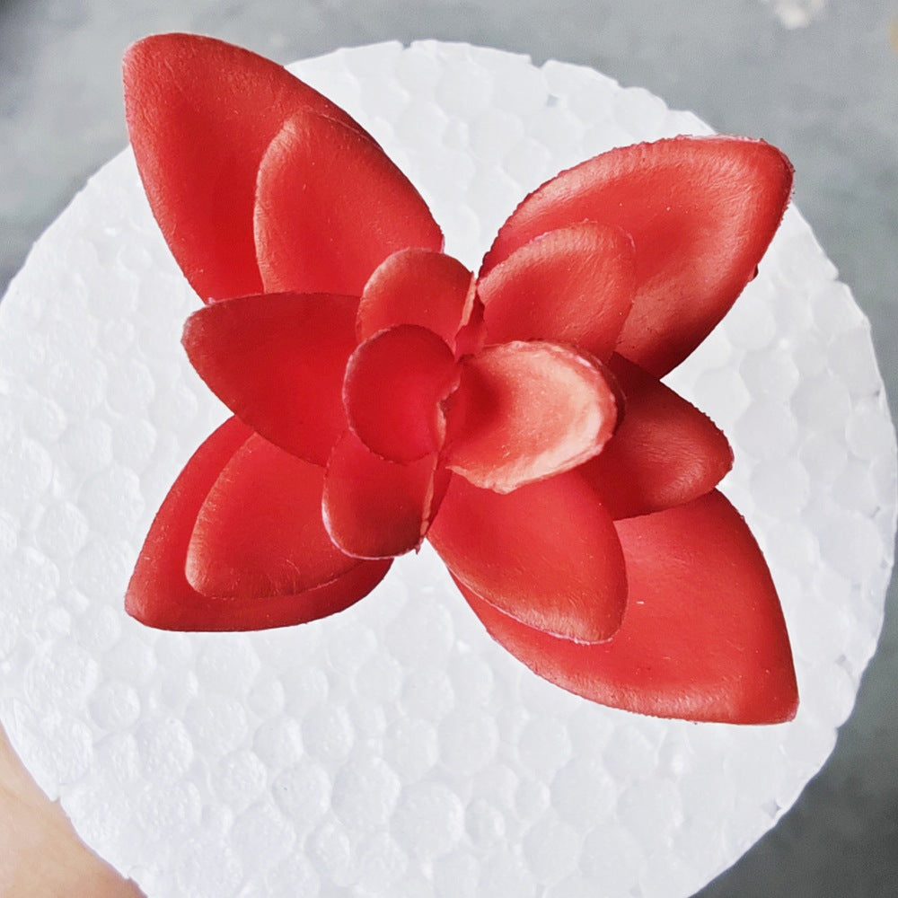 Decorative Succulent Stones | Thrascher