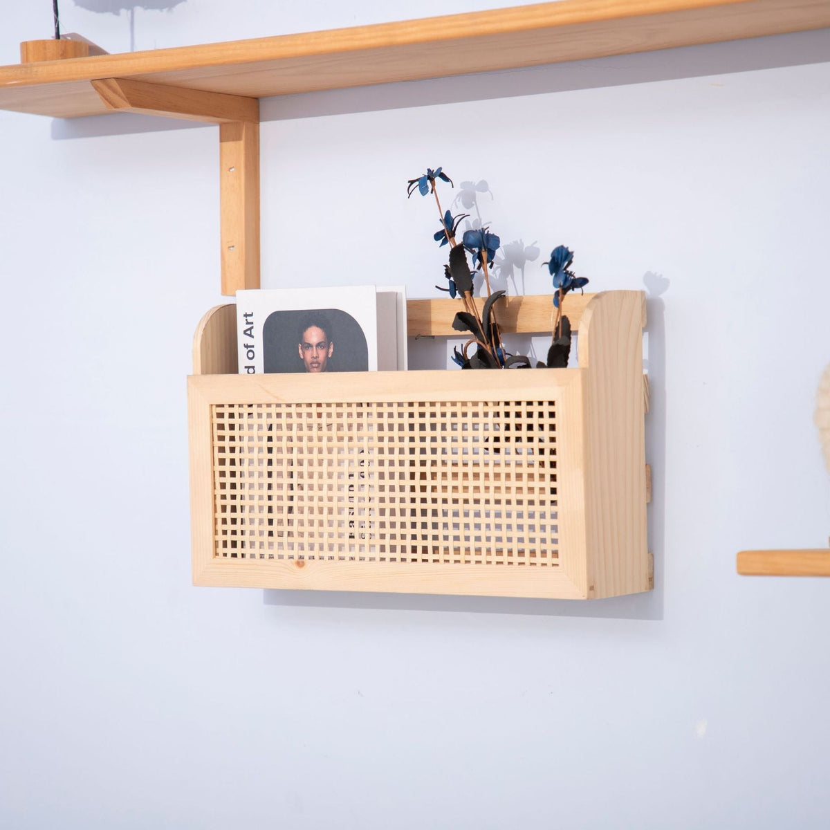 Decorative Wall Shelf | Thrascher