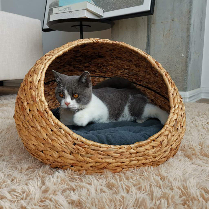 Designer Cat Bed | Thrascher