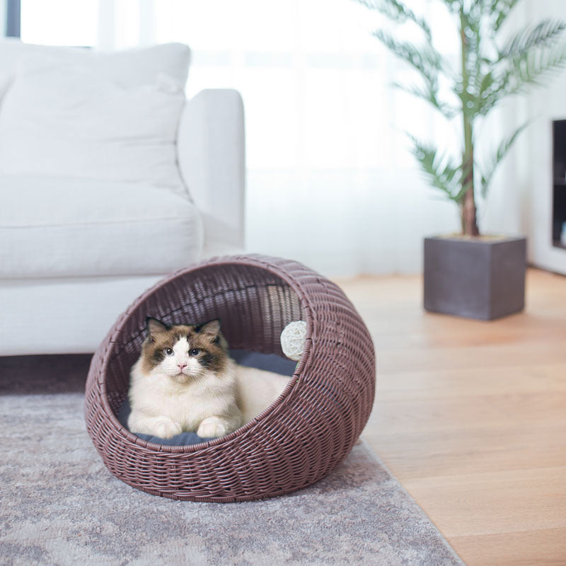 Designer Cat Bed | Thrascher