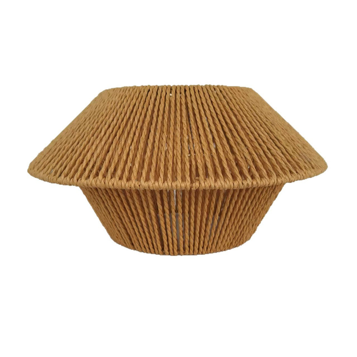 Designer Lamp Decorative Lighting | Thrascher