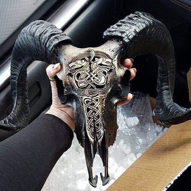 Carved Resin Ram Skull with Removable Horns, 20cm Wide