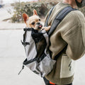 Dog Carrier Backpack with Safety Strap and Storage Pockets for 1–25 kg Dogs, view 9