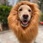 Dog Lion Mane Halloween Costume, Plush, Adjustable, Sizes S–L, view 2